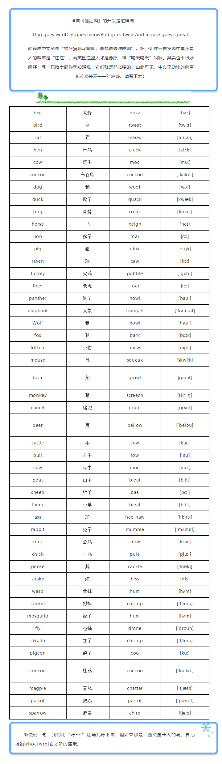 美国科蒂思维学科英语官微.png